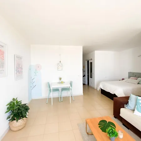 Estudio Park San Miguel de Abona